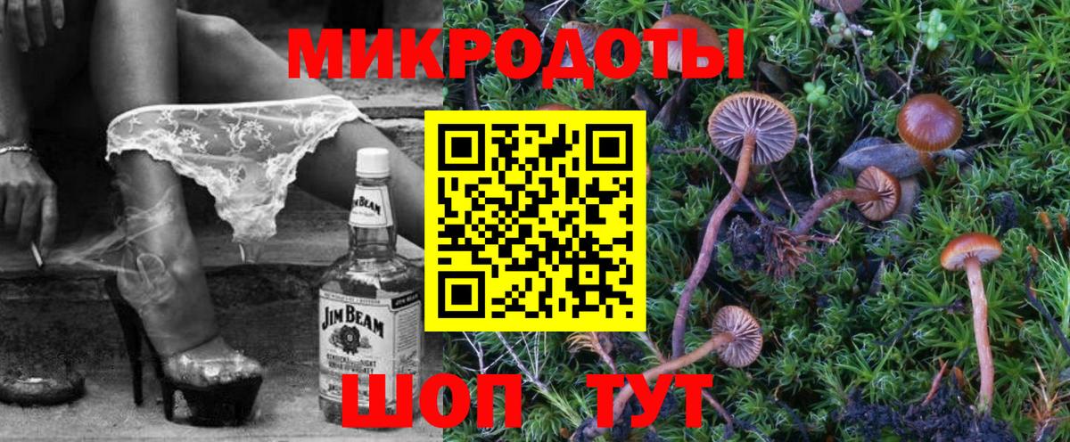 Галлюциногенные грибы мицелий  Вход с VPN  Псилоцибиновые грибы Magic Shrooms  Заводоуковск 