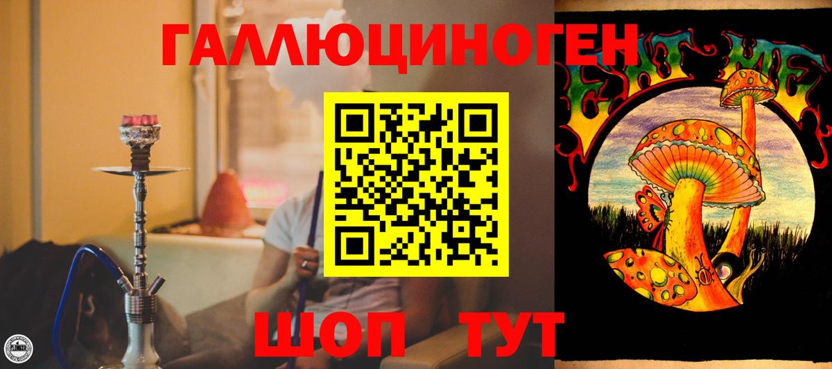 Псилоцибиновые грибы Magic Shrooms Заводоуковск